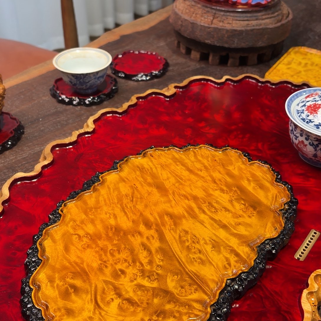 黄金樟干泡开啊啦啦啦