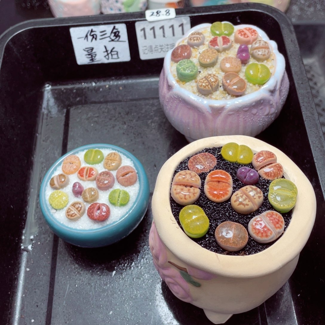 w11111一份三盆量拍