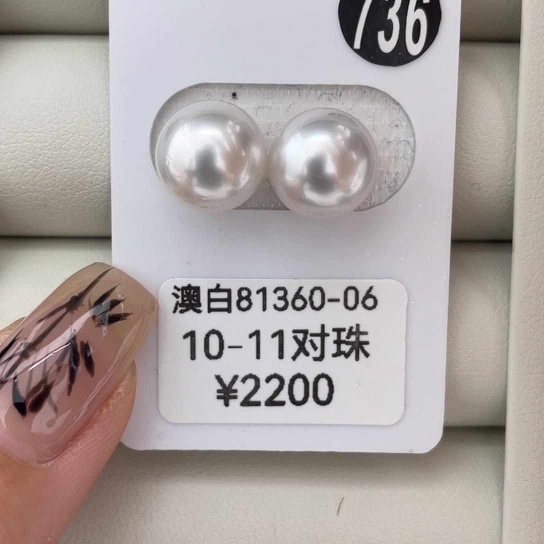 未镶嵌耳饰定制海水珍珠澳白10-11mm