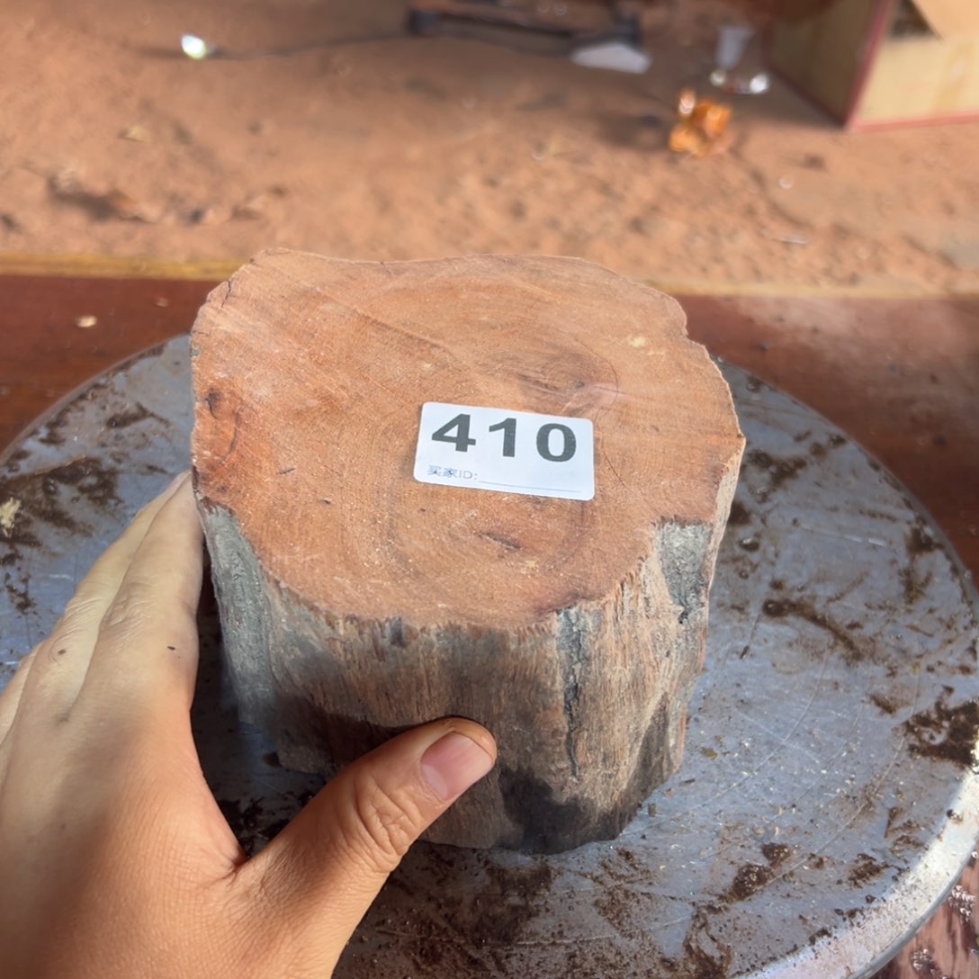 大果紫檀（缅甸花梨）