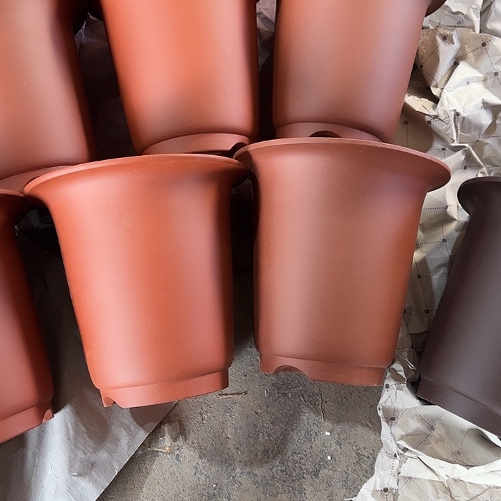 股***缘20×20四只          