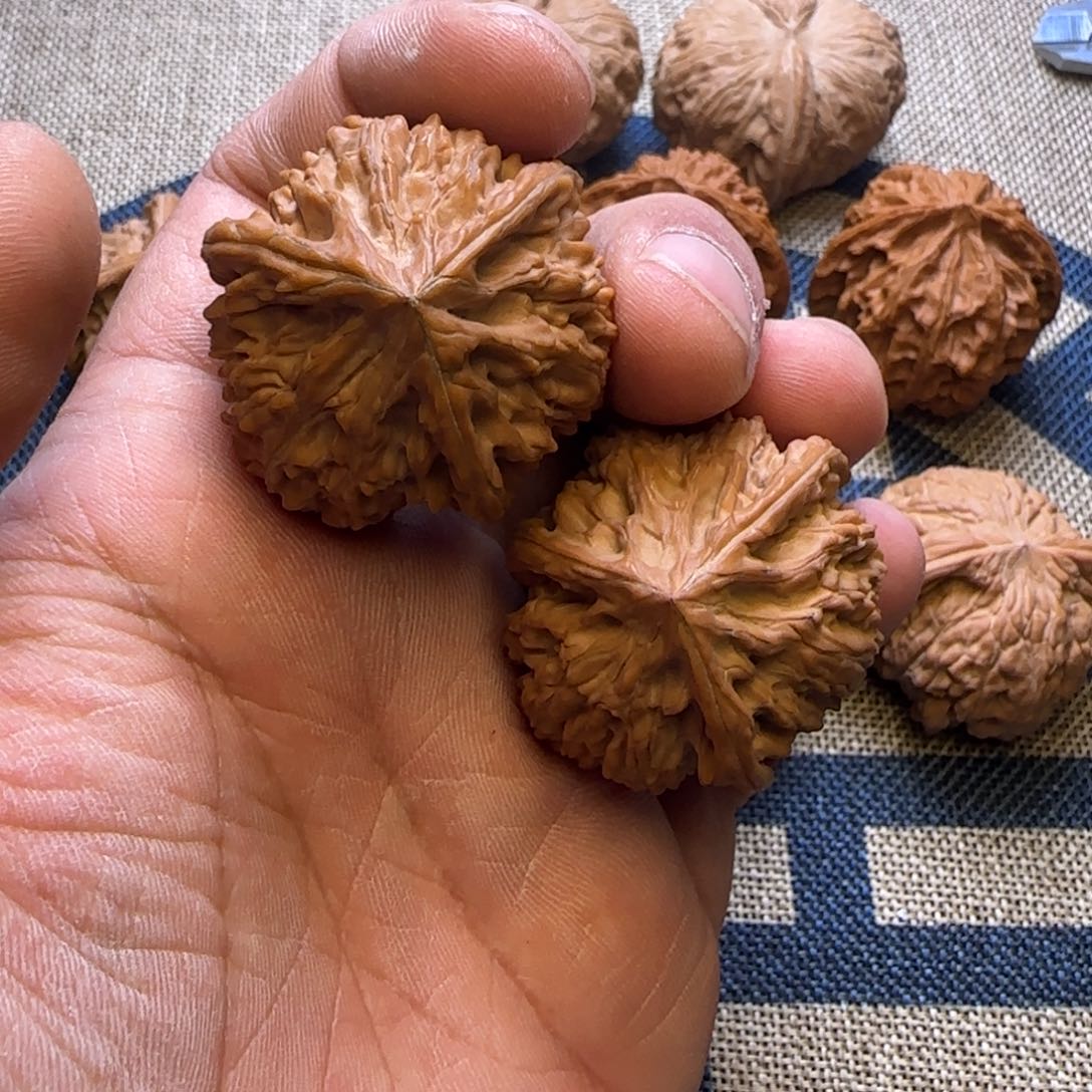 39尺寸玉龙粗筋三棱