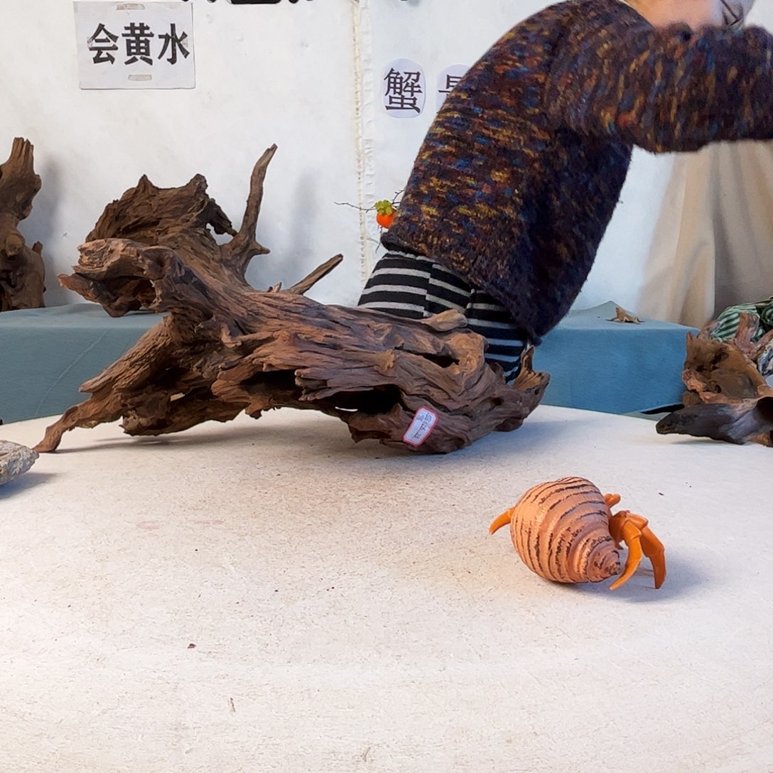 沉木造景爬宠造景