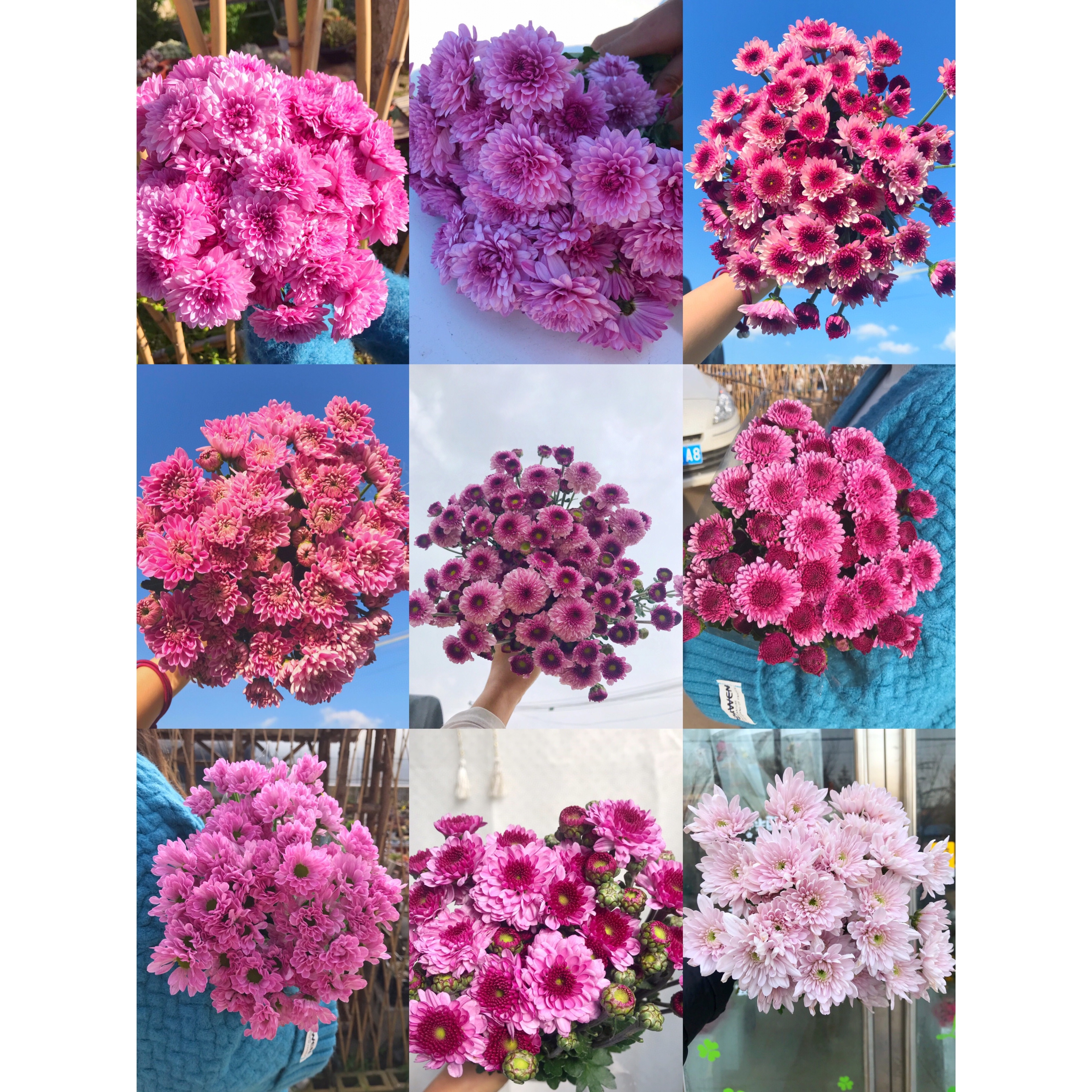 套餐74粉紫混菊3支+混色单头康10支+混色单瓣紫罗兰一把+花瓶一个