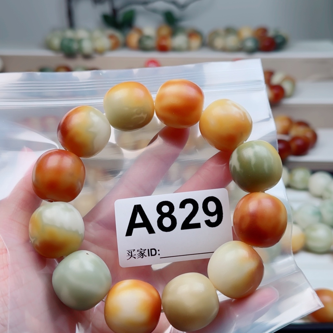 手串菩提根/象牙果21.8。 