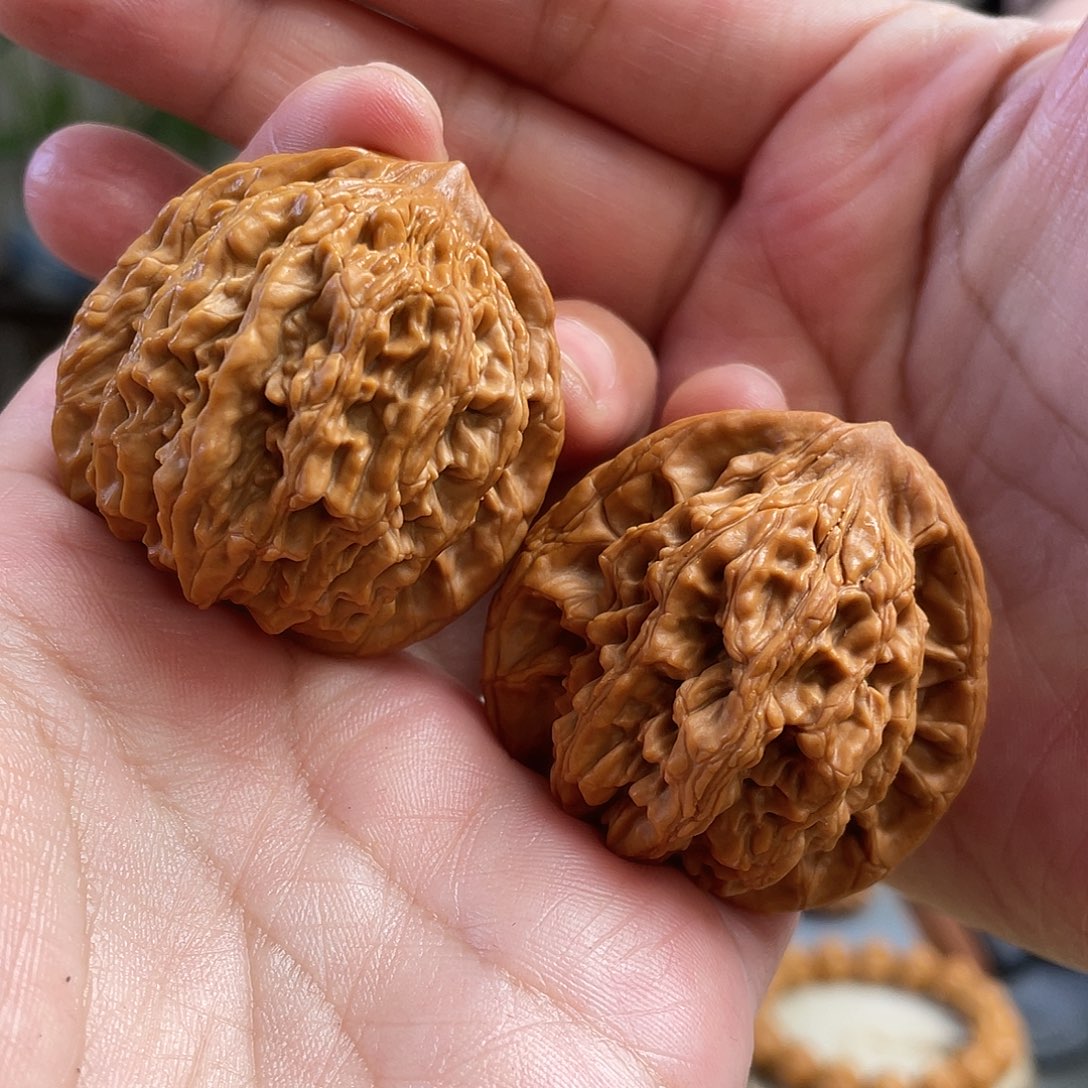 桃核把件41尺全品狼牙麦穗虎头CN01109已打底