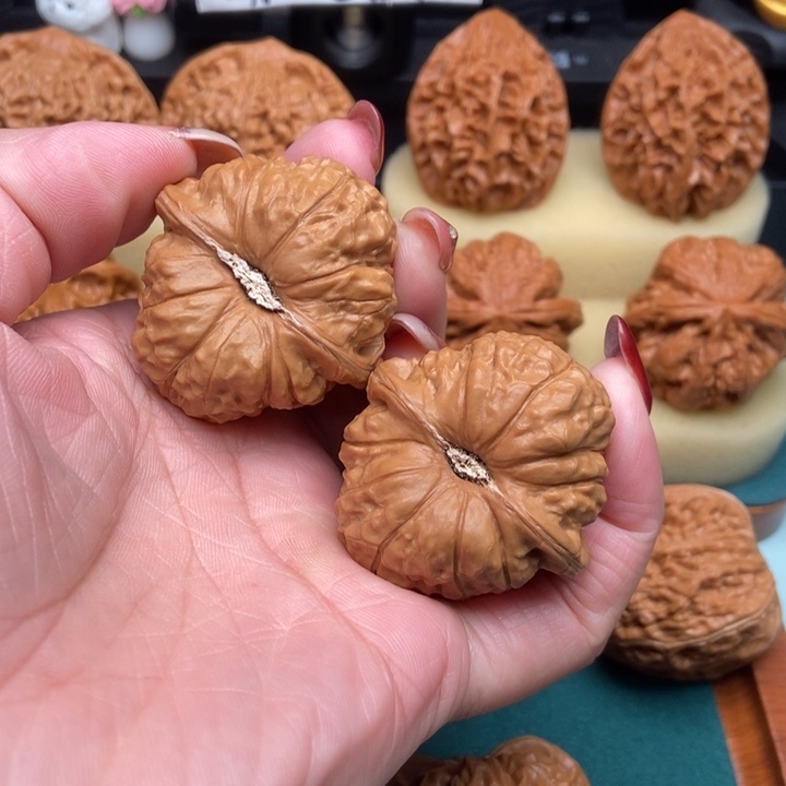 南瓜全41+已打底～6