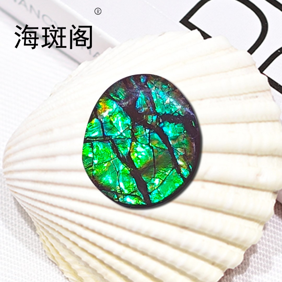 【海斑阁】天然加拿大斑彩宝石有机宝石收藏树脂覆膜裸石DLS-25144