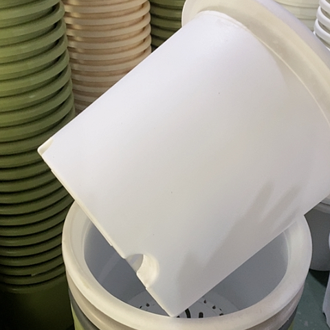 树脂四季6#无托纯白5个