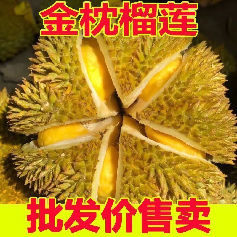 兵哥一号称一物一拍包邮金枕榴莲带壳发货皮薄肉厚核小