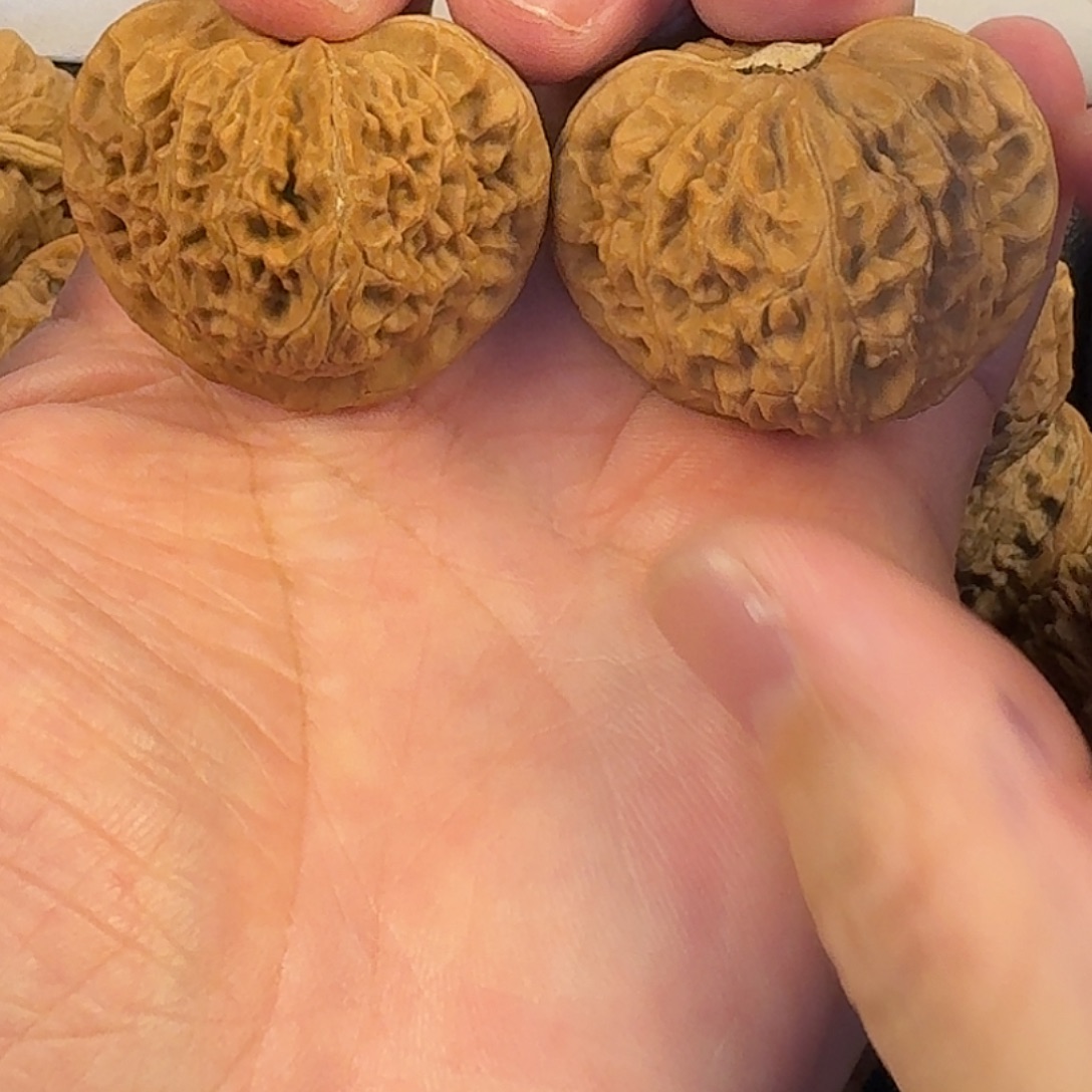 用***2吊坠文玩核桃宫灯