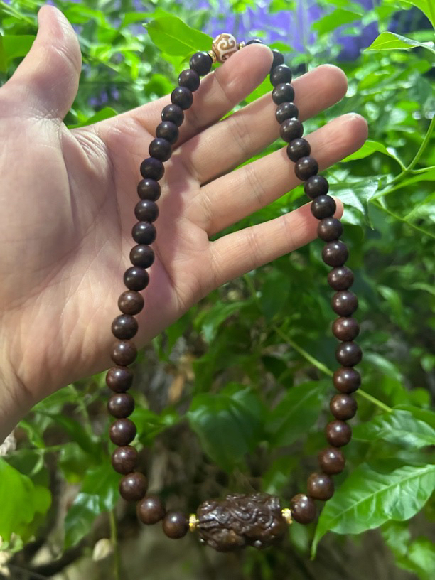 【土特产菇503】净含量19g