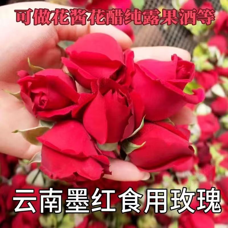  【基地直发】新鲜可食用玫瑰花墨红鲜花花朵花瓣免洗花茶酵素酱醋