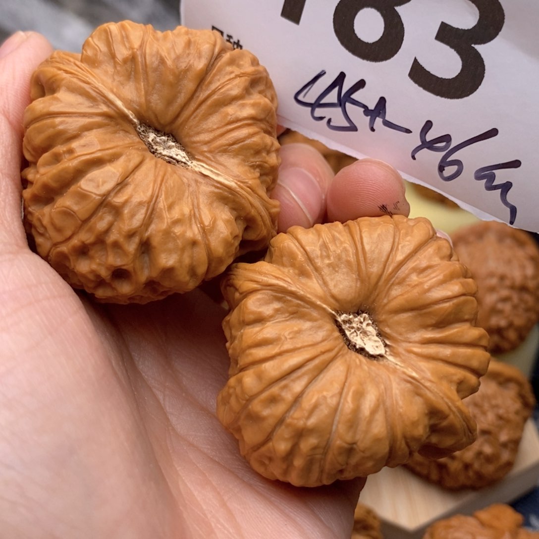 文玩核桃把件183号45家南瓜