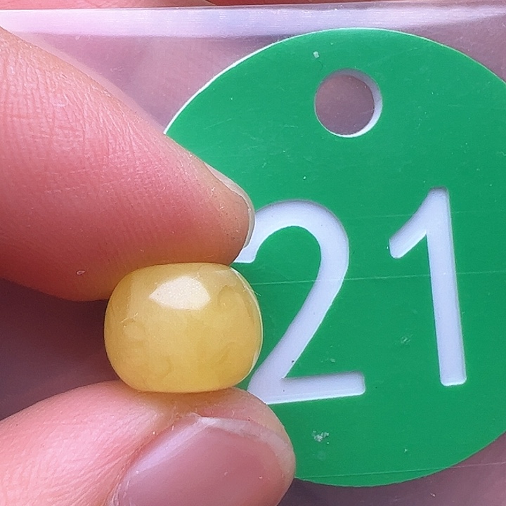 蜜蜡裸石未镶嵌花粉10m m