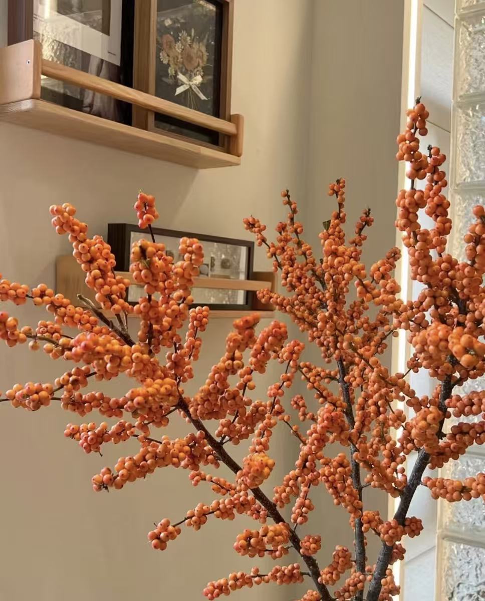【陌上花开】1支独秀爱马仕橙冬青 80cm规格（运输会掉果属于正常哦）