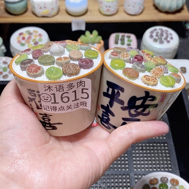 精美盆栽 一物一拍 1615