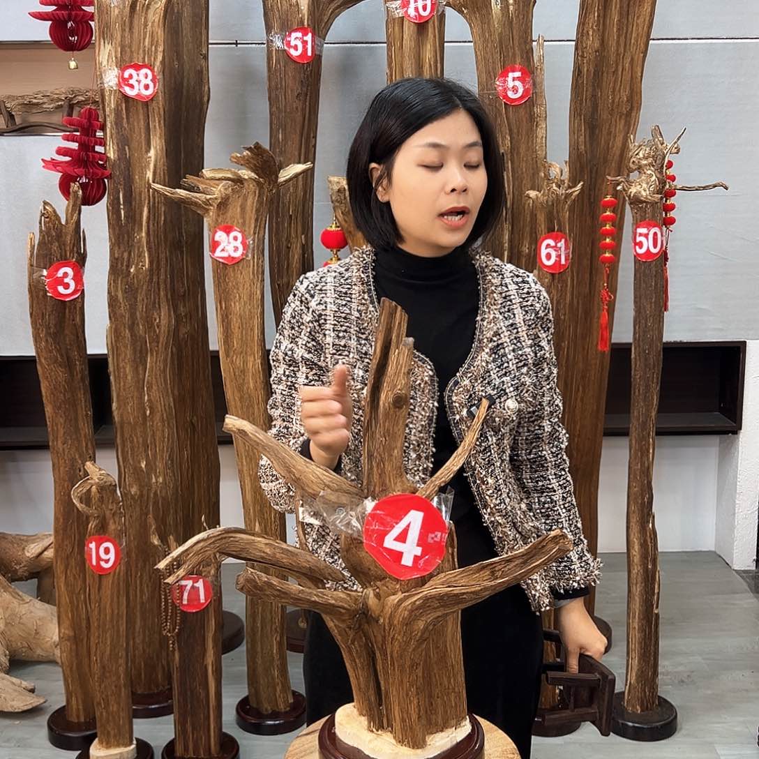 沉香摆件陈****坊沉香摆件