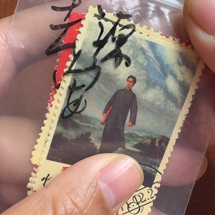 有有有有有拍拍下