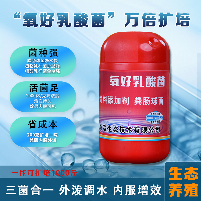 乳酸菌菌种水产养殖扩培发酵鱼虾蟹诱食助长调水降解氨氮
