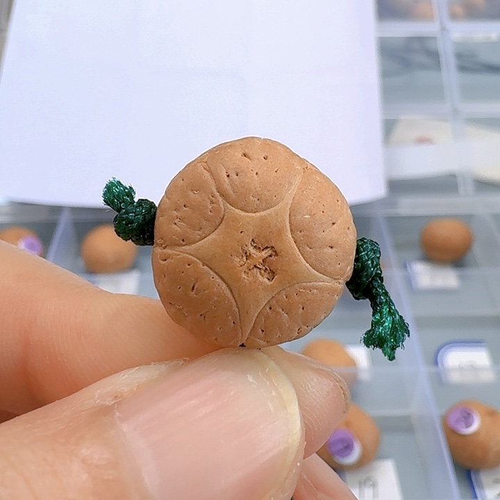 凤眼菩提吊坠16.8mm五星85@6850