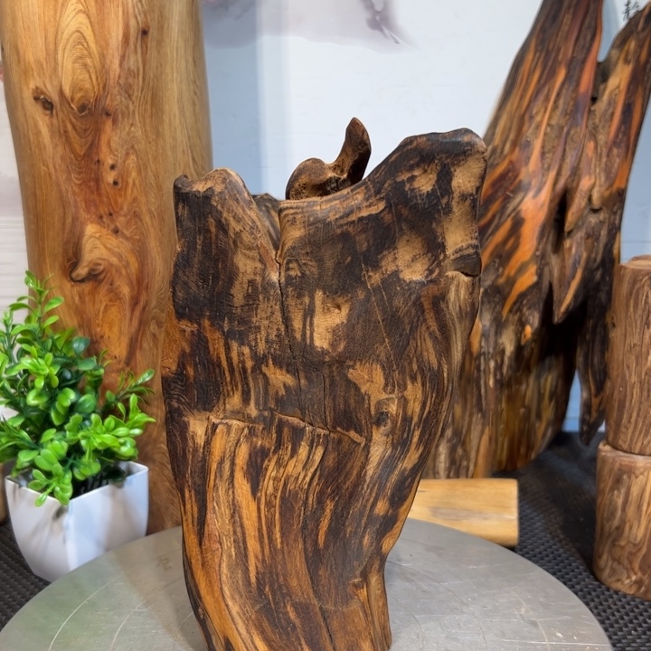 蓝***舟木直播间一物一拍