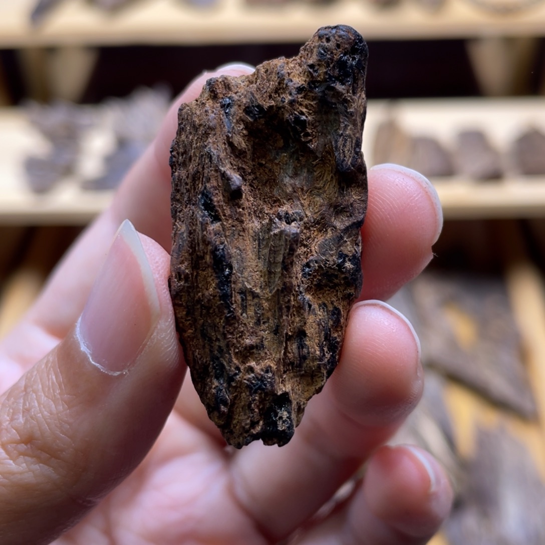 了***）4.5克越南富森留疤红土香