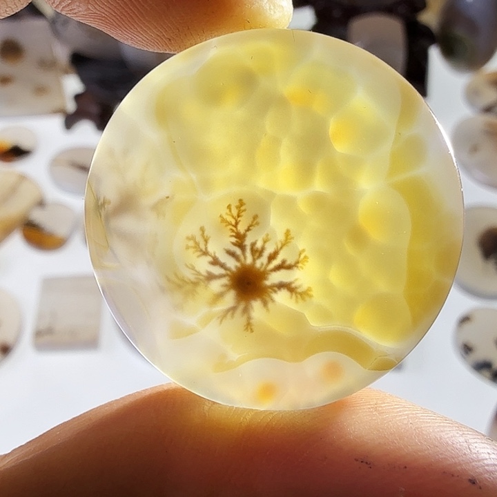 玛瑙/玉髓未镶嵌珠宝半成品