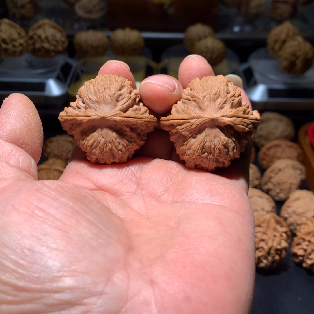 42.8南疆石核桃一物一图