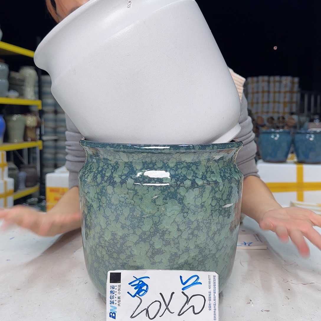 云上花盆直播1114-同款两个