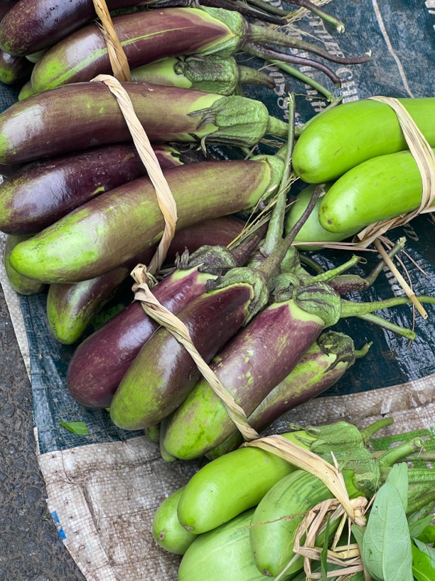 南雄本地茄子辣椒新鲜，不是大棚菜，是农家自种的