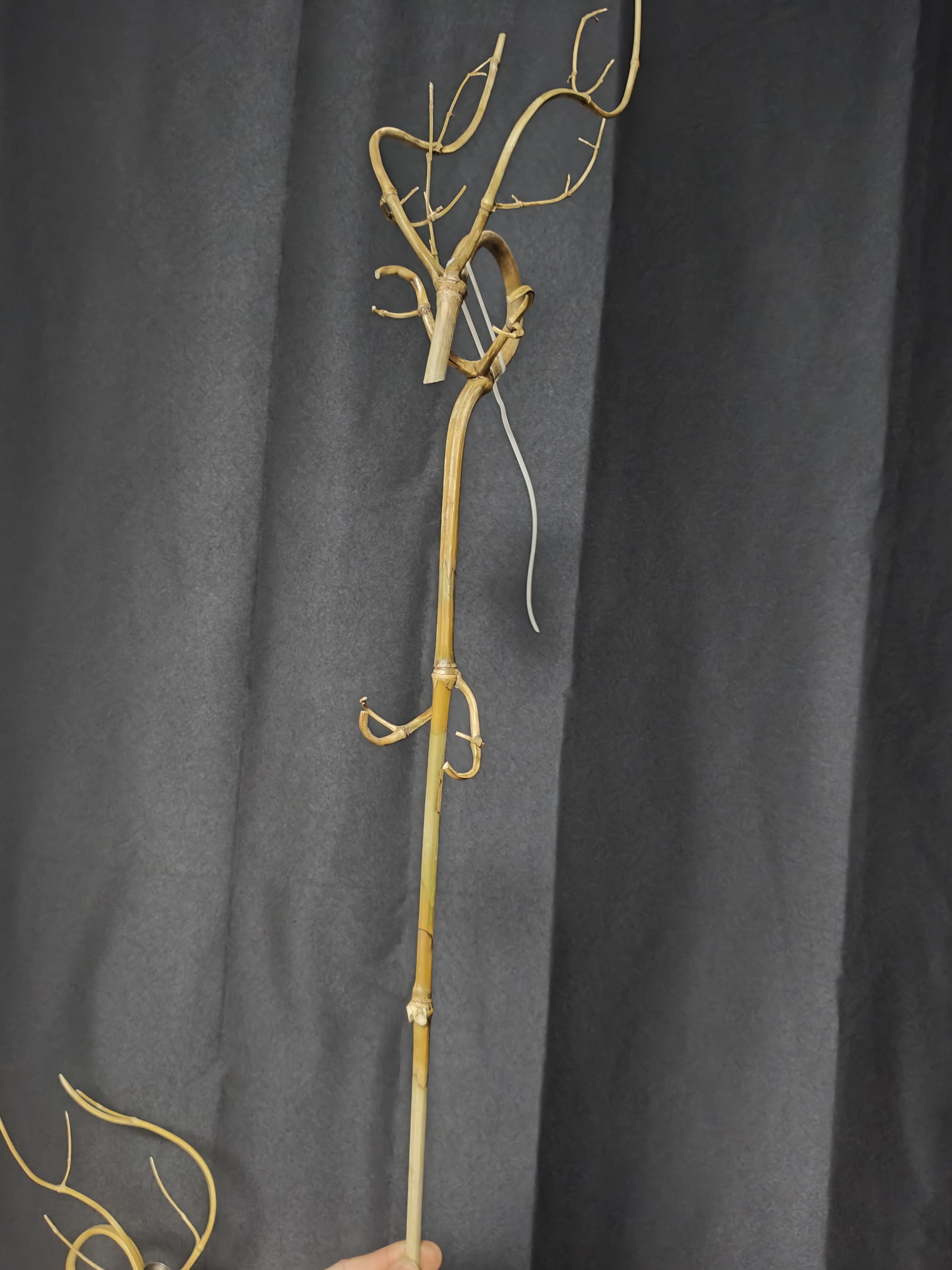 中大号竹龙头倒流香留香大气