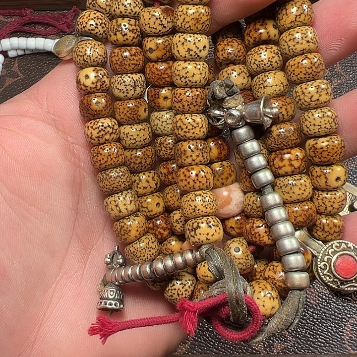 我们都是在这里看到的啦我们都