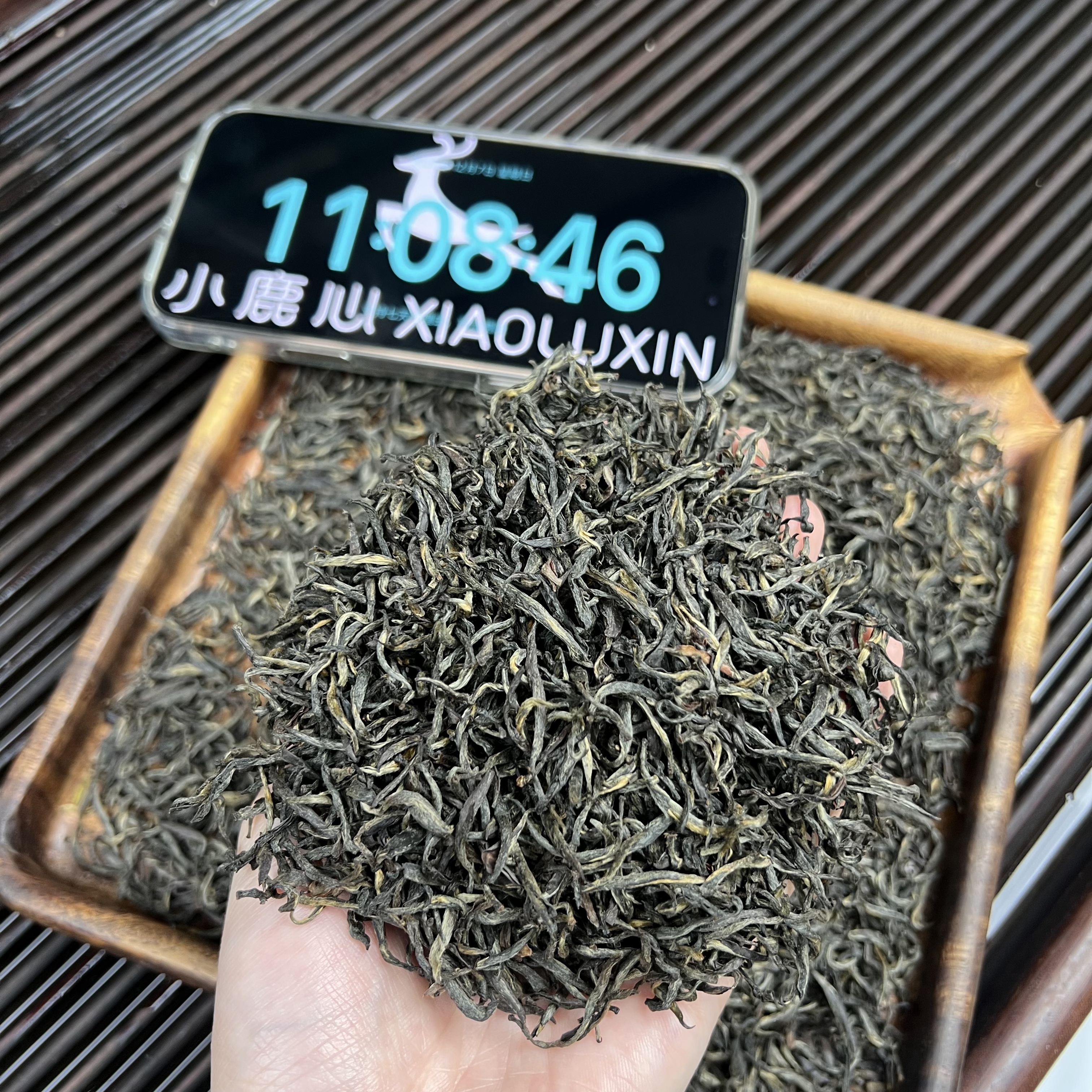 武夷山梅占金骏眉 ② 小鹿收茶 腊梅花香 武夷红茶  12月7