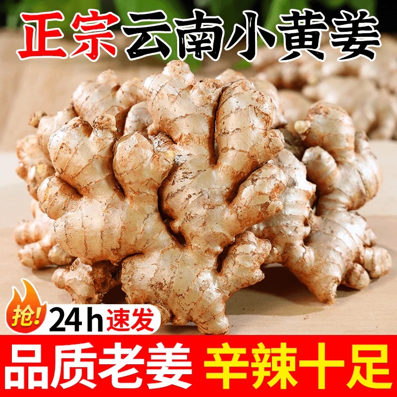 云南小黄姜山地种植香味浓郁辛辣适中2025年现挖新老姜