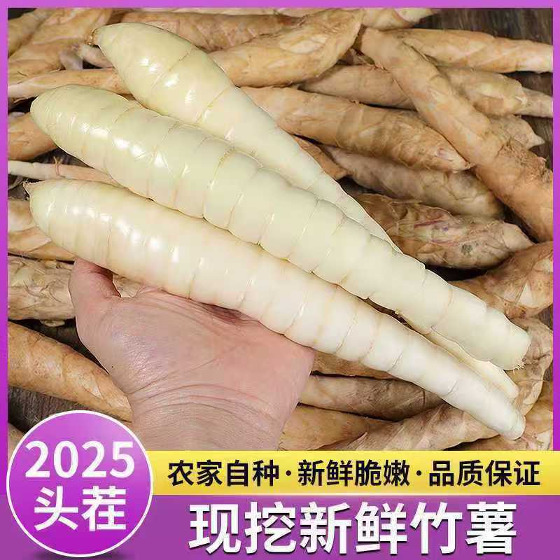 【送蘸料】广东新鲜竹薯网红椒盐竹薯冬薯现挖现发煲汤农家竹芋自种