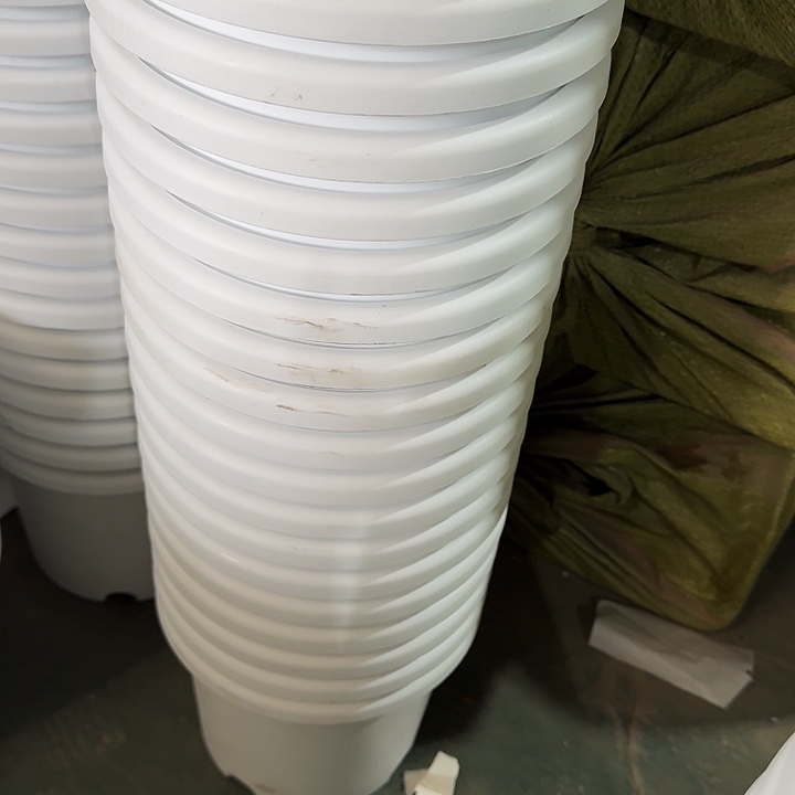 微瑕3#白色10个无托