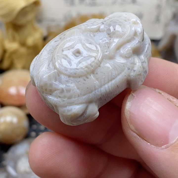 颈饰未镶嵌硅化珊瑚（珊瑚玉）小