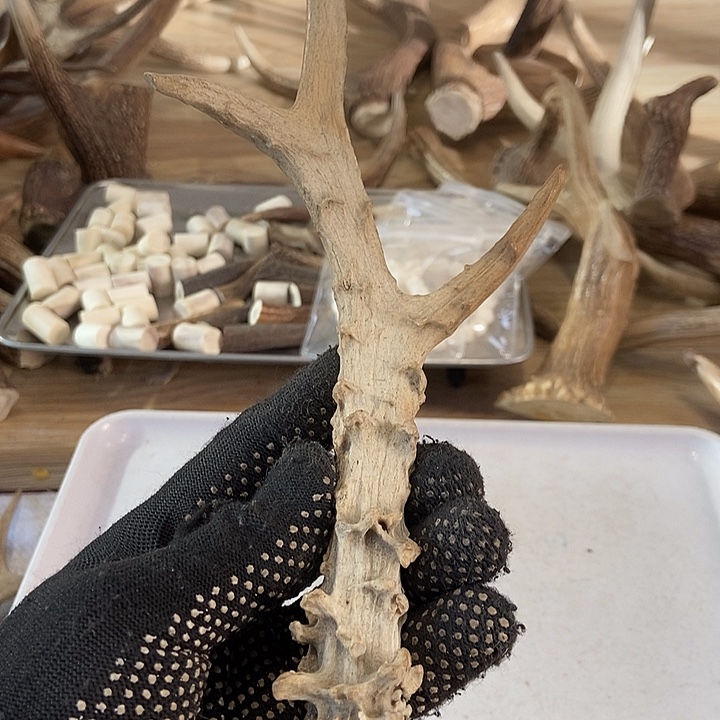 原***生大叶紫檀（黑酸枝木类）