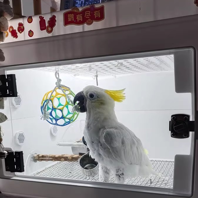 鹦飞扬PID恒温中大型鹦鹉保温箱大型风暖宠物保温箱0天雏鸟保温箱