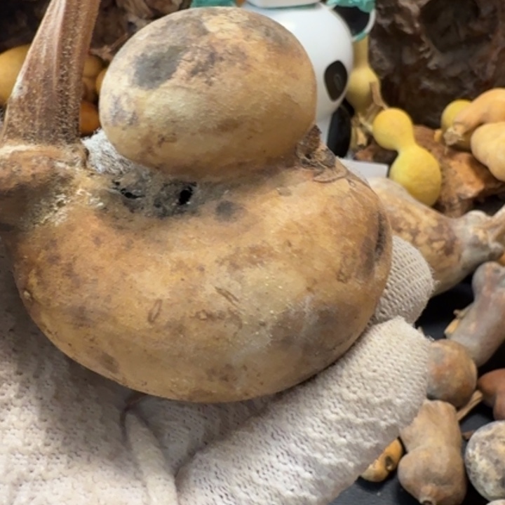 S***t7666667777777788888