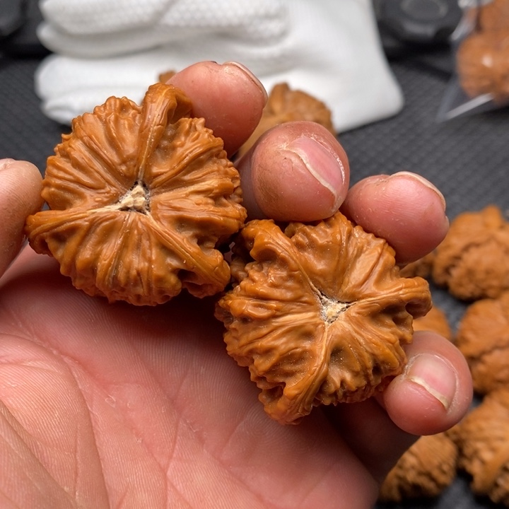 核桃把件笑****烟拼接白狮子6