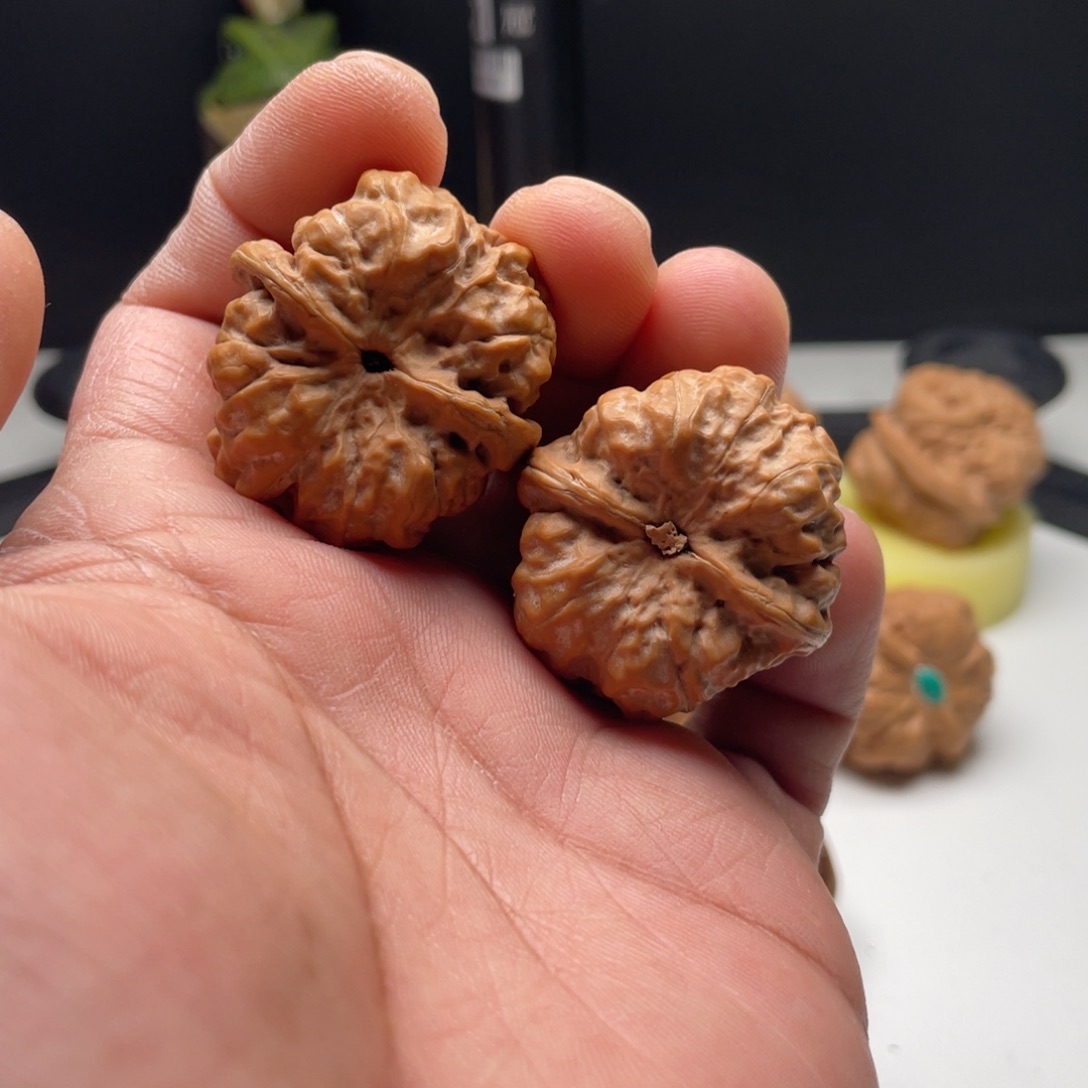 ****核桃蛤蟆头35一对