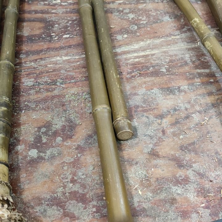 。***么实心玉竹手把件金条料