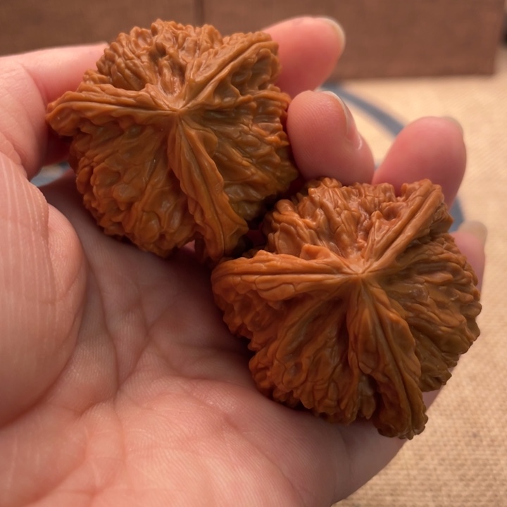 木***尧核桃白狮子41核桃