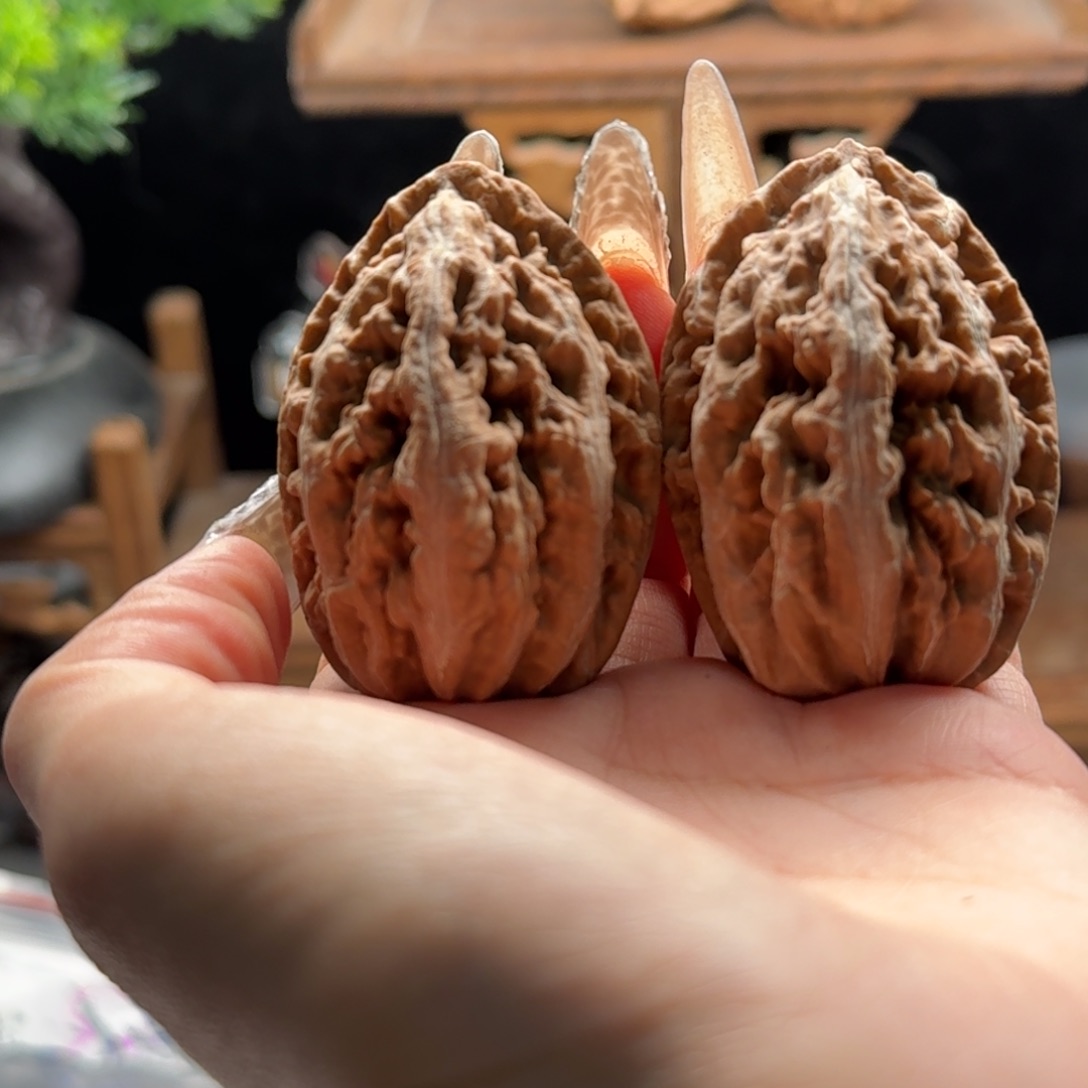 文玩核桃把件关东木子楸百核55