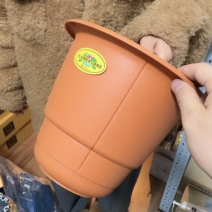 塑料这个时候我们