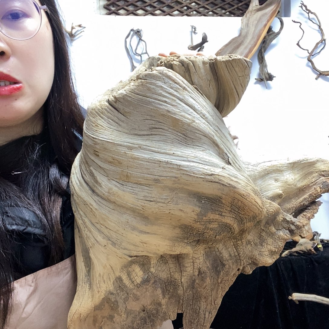 柏***顺香榧木今天晚上吃什么好吃的东西