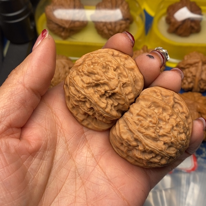 吊坠桃核白狮子43全品