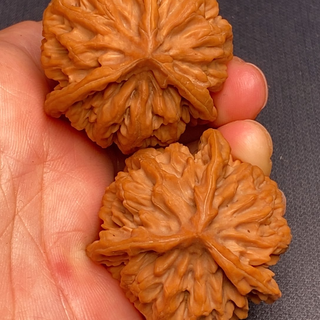 文玩核桃把件秦岭野生核桃